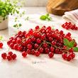 خوشه‌های تازه و درخشان ردکارنت قرمز روی پس‌زمینه سفید برای تزیین دسر