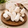  ارچ شاه صدف تازه و درجه یک در فروشگاه لوکس‌بری قارچ شاه صدف