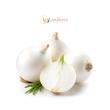 پیاز | onion