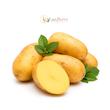 سیب‌زمینی ممتاز دست‌چین لوکس‌بری برای خرید آنلاین