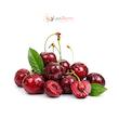 گیلاس | cherry