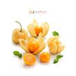 فیسالیس | Golden Berry