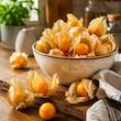 فیسالیس | Golden Berry