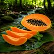 پاپایا | Papaya