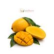 انبه تازه نارنجی درجه یک، بسته‌بندی انبه برای ارسال، انبه خشک طبیعی