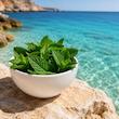 نعنا موهیتو تازه 
