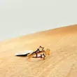 انگشتر مینیمال ستاره ی دنباله دار کد 610