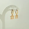 گوشواره مینیمال تاج کد 189