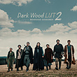 رنگ سینمایی Dark Wood LUT 2