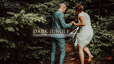 پریست رنگ Dark Jungle 4 Preset