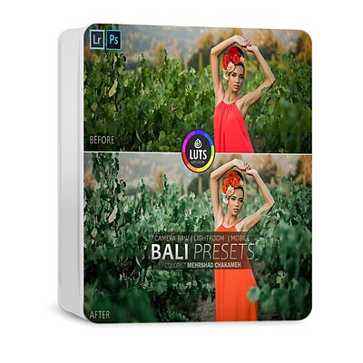 پکیج کامل پریست BALI Presets