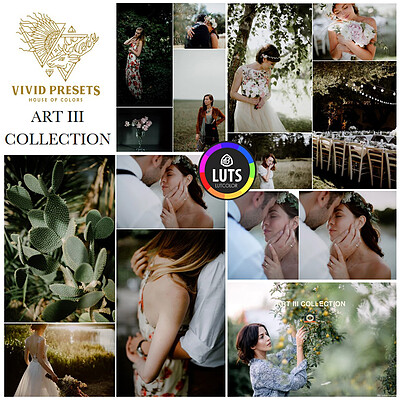 مجموعه پریست رنگ Vivid Presets – ART III COLLECTION ( پک کامل نسخه اصلی )