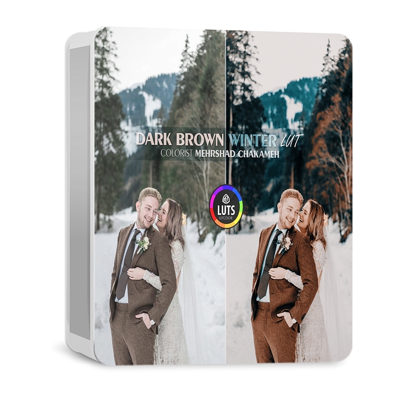 مجموعه رنگ Dark Brown Winter LUT