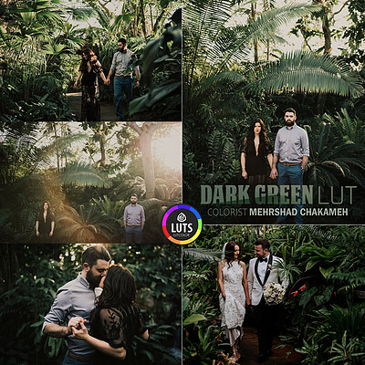 رنگ سینمایی Dark Green LUT