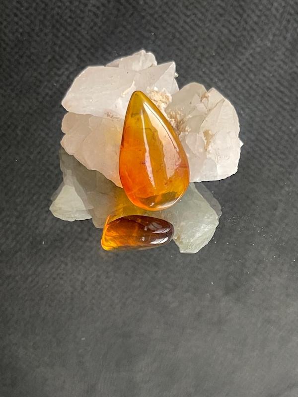 کهربای مورچه دار