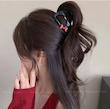 کلیپس ژورنالی پاپیون