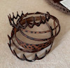 تلسر آفریقایی