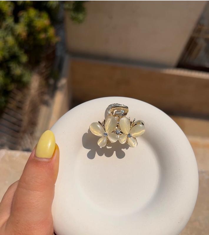 مینی کلیپس پروانه