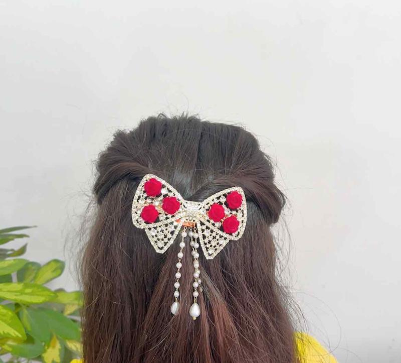 گیره فرانسوی مجلسی