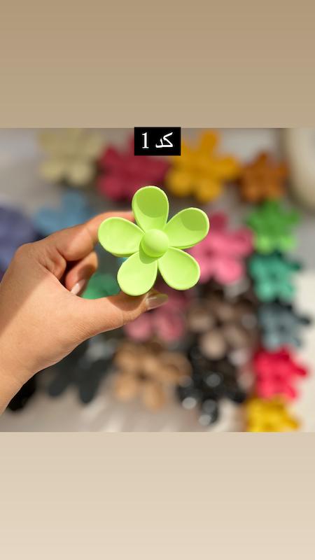 بابونه ترندی