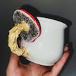Mushroom Mug