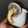 Mushroom Mug