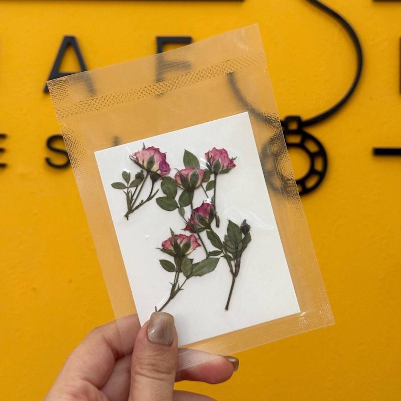 غنچه ساناز پرس شده ساقه دار صورتی