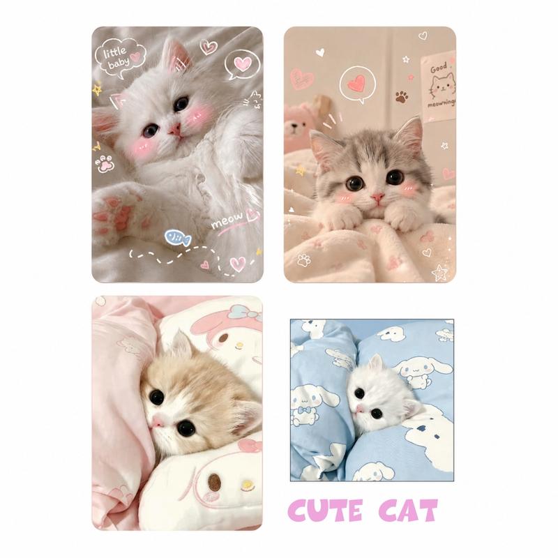 پک مینی فوتوکارت cute cat 