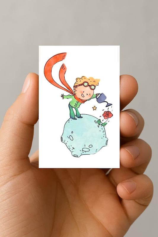 مگنت شازده کوچولو (6)