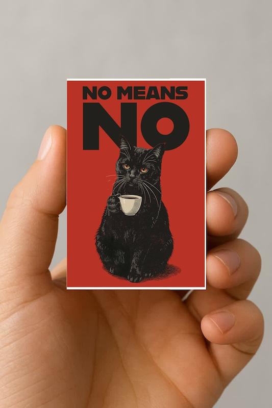 مگنت گربه No Means No