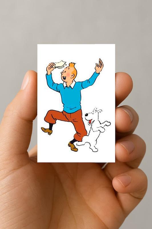 مگنت تن تن و میلو (7)