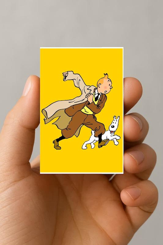مگنت تن تن و میلو (9)