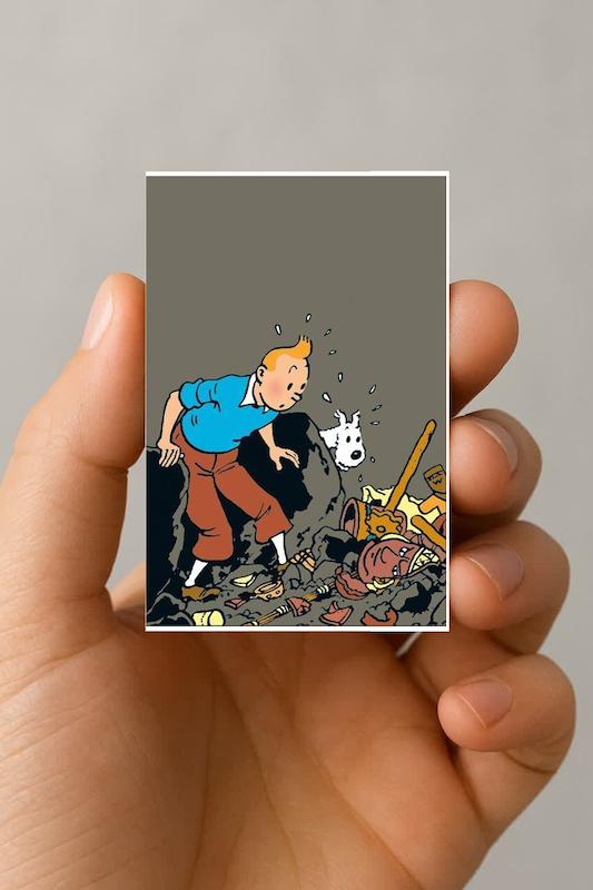 مگنت تن تن و میلو (11)