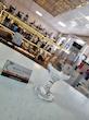 گیلاس تولیپ Delli Glass