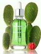 سرم رفع‌کننده منافذ کاکتوس دکتر ملاکسین (Pore Relief Serum)