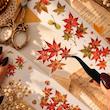 واشی پاییزی Autumn Whisper 