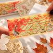 واشی PVC شفاف Autumn Path