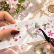 واشی Apple Blossom با طرح شکوفه سیب