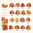 طرح کامل واشی Autumn Tree مهدان استور