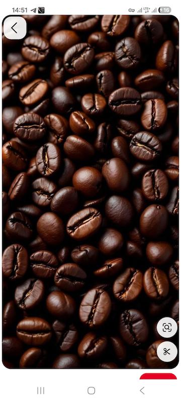  قهوه  ۱۰۰ روبوستا 