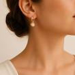 گوشواره ژوپینگ مدل صدف 