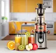 عصاره گیر و آبمیوه گیری فکر مدل VITALY