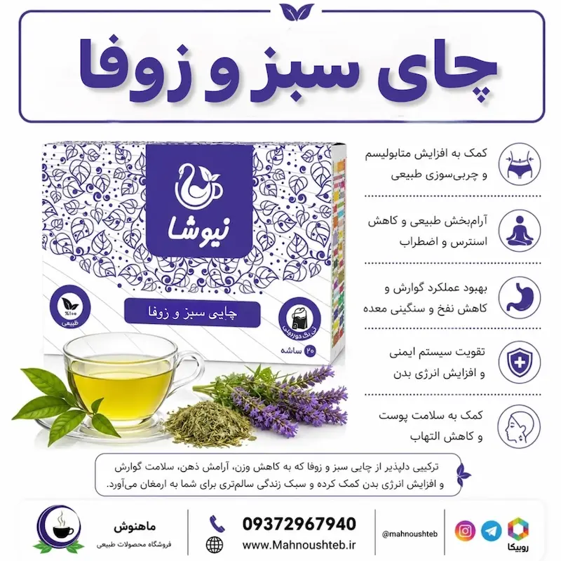 چای سبز، زوفا نیوشا