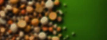 روغن ها