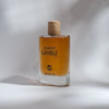 دی جیو ابسولو