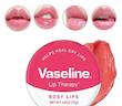 بالم لب وازلین VASELINE صورتی مدل گل رز
