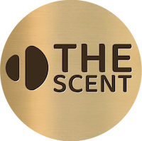 فروش عمده عطر برندکالکشن | برندینی | لاکچری آکوا  | اسکوپ  scoop | اسپری برندینی | بادی اسپلش وودلایک 
