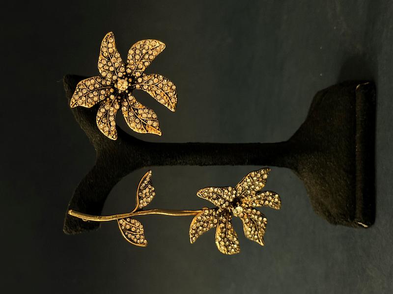گوشواره طرح جواهری