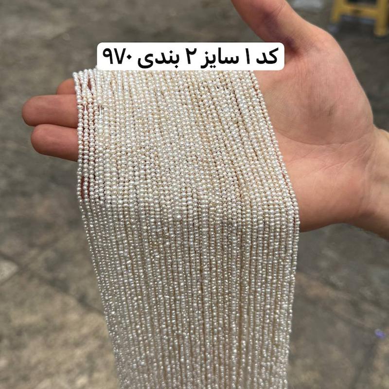 مروارید پرورشی