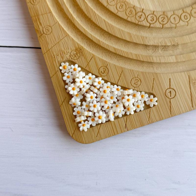 گل بابونه صدفی